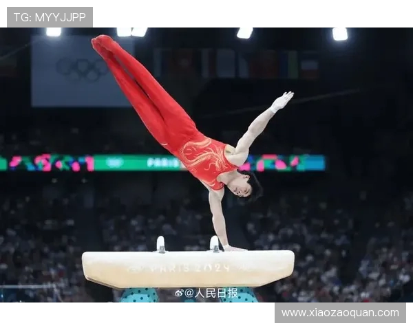 张博恒谈对体操艺术的深度解